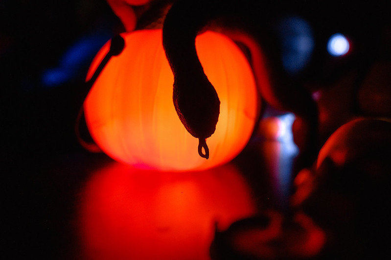 Украшение дома паутиной и летучими мышами к Хэллоуину в Ryazan