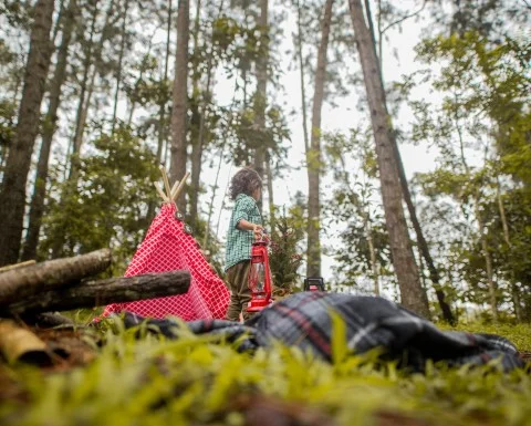 Выездные квесты в парке